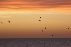 Natuur