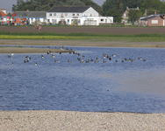 Natuur voor de deur